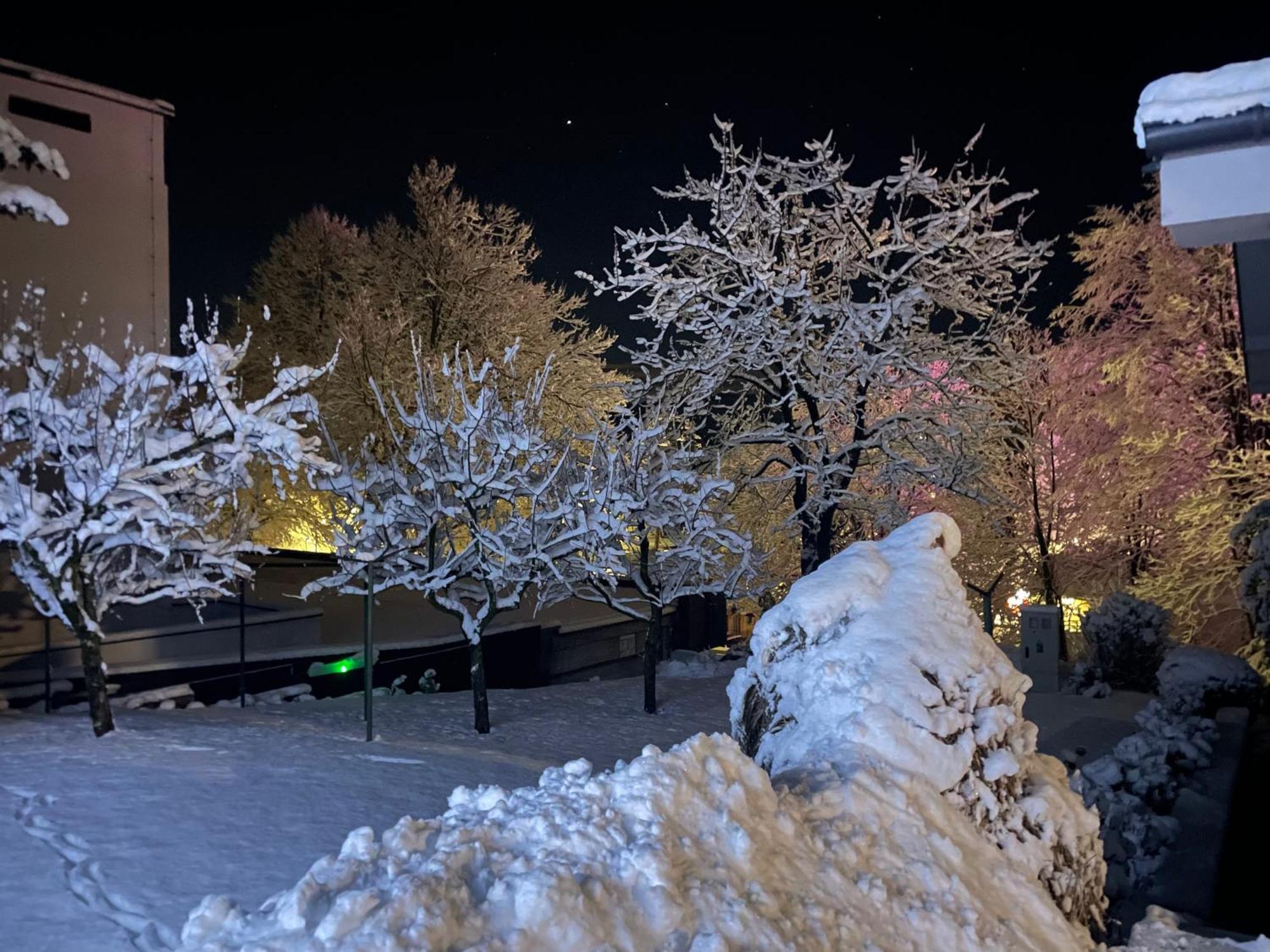 Katarina Apartma Bled